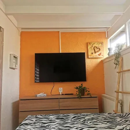 Pretty In Sint Maartenszee